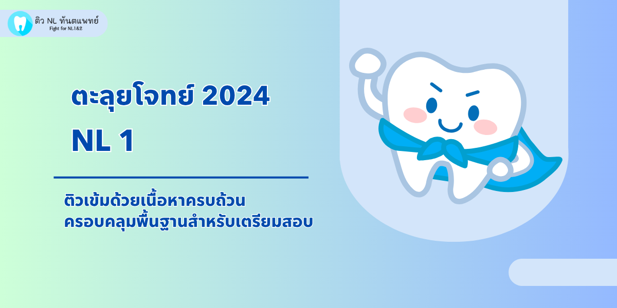 cover NL1 ตะลุยโจทย์ปี 2024