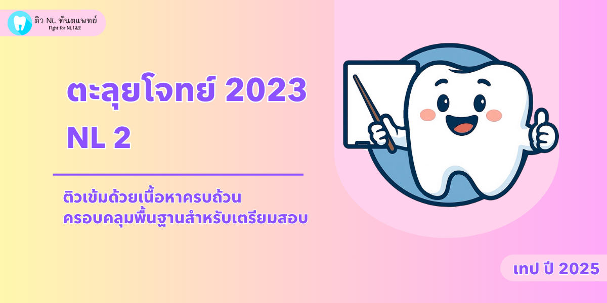 cover NL2 ตะลุยโจทย์ปี 2023