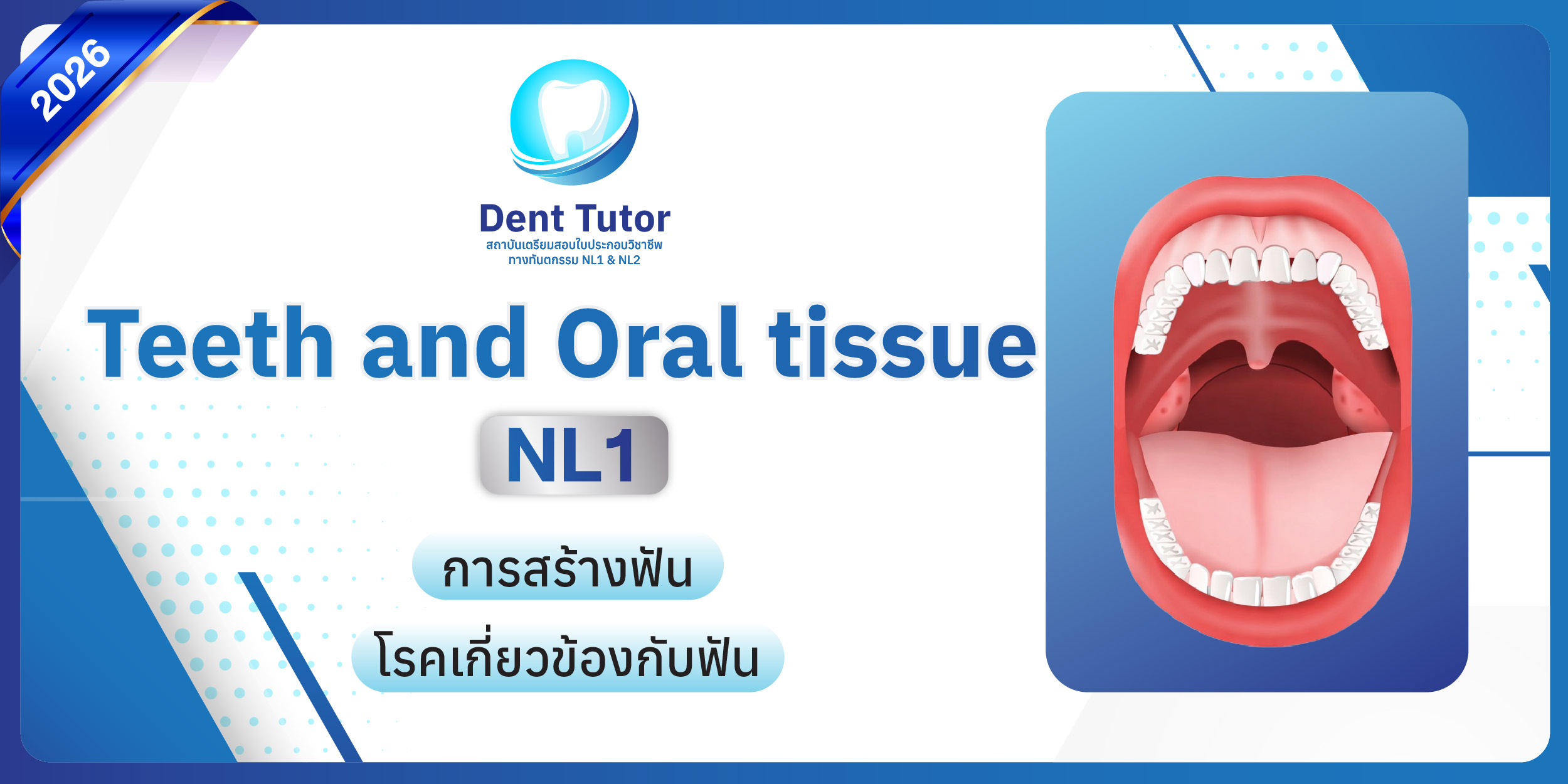 cover Teeth and oral tissue ปี 2026